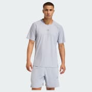 Cor do artigo: Halo Silver