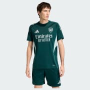 Kód farby: Aurora Ivy