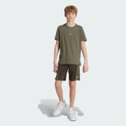 Color del artículo: Shadow Olive / Tent Green / Reflective Silver