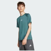 Kód farby: Aurora Ivy / Powder Teal / Reflective Silver