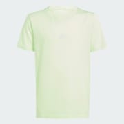 Color del artículo: Semi Green Spark / Reflective Silver
