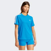 Cor do artigo: Blue Bird