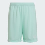 Couleur du produit : Clear Mint