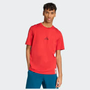 Color del artículo: Collegiate Red