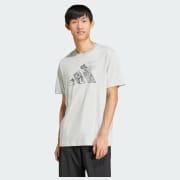 สี: Wonder Silver