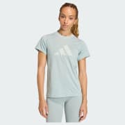 Cor do artigo: Wonder Sage / Wonder Silver