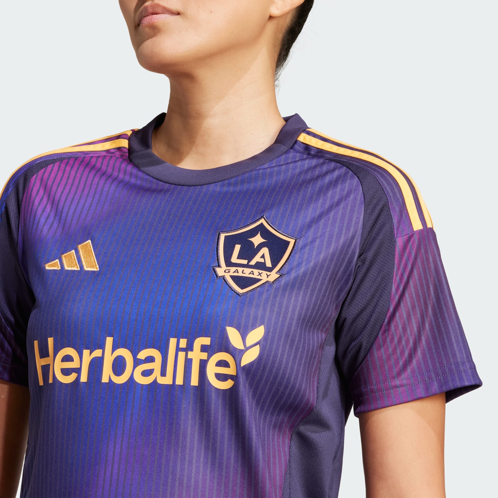 LA_Galaxy_25-