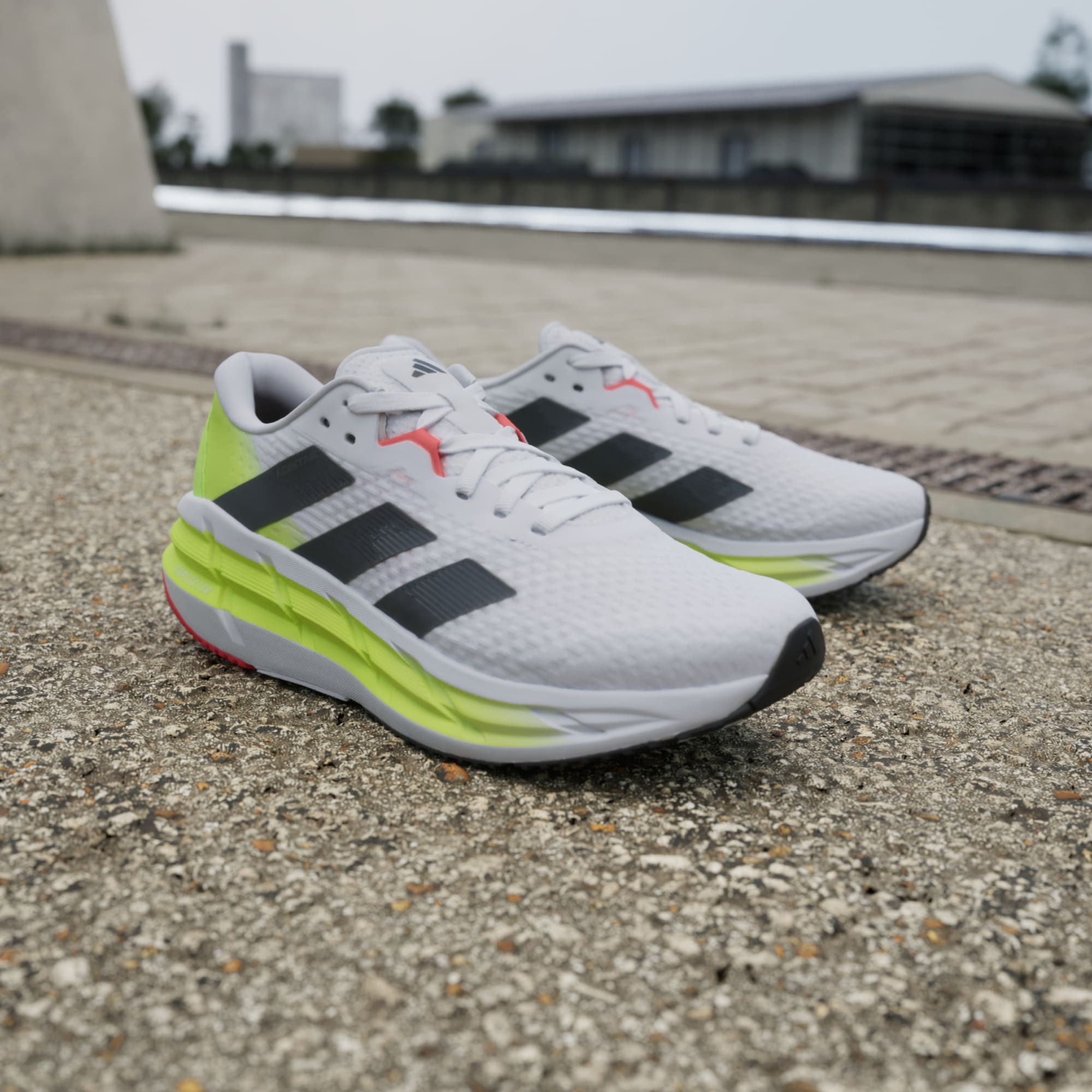 Scarpe adistar 3 Bianco IE8222 HM8