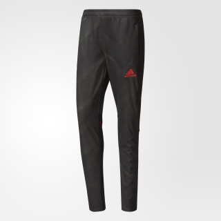 adidas graphic workout pants