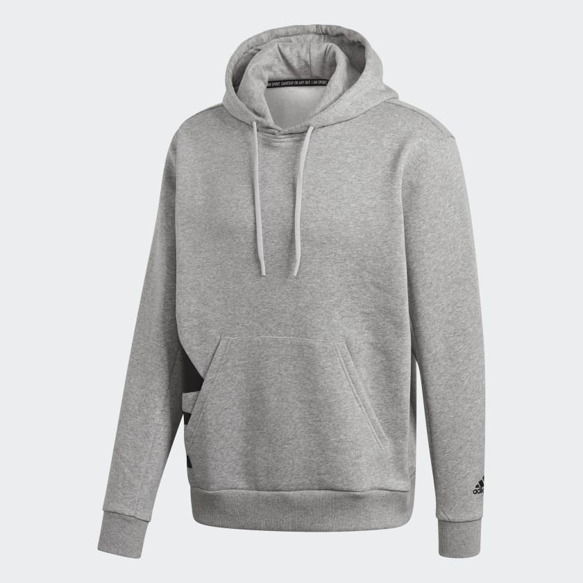Big badge of on sale sport boxy hoodie