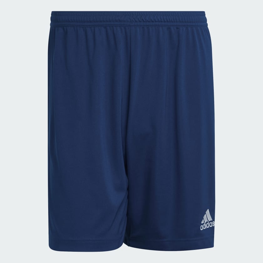 adidas entrada blu