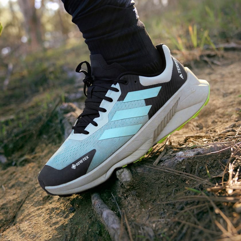 Adidas Terrex Soulstride Flow GTX Men's Shoe Review Uncovers the ...