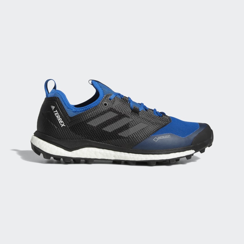 adidas terrex agravic gtx blue