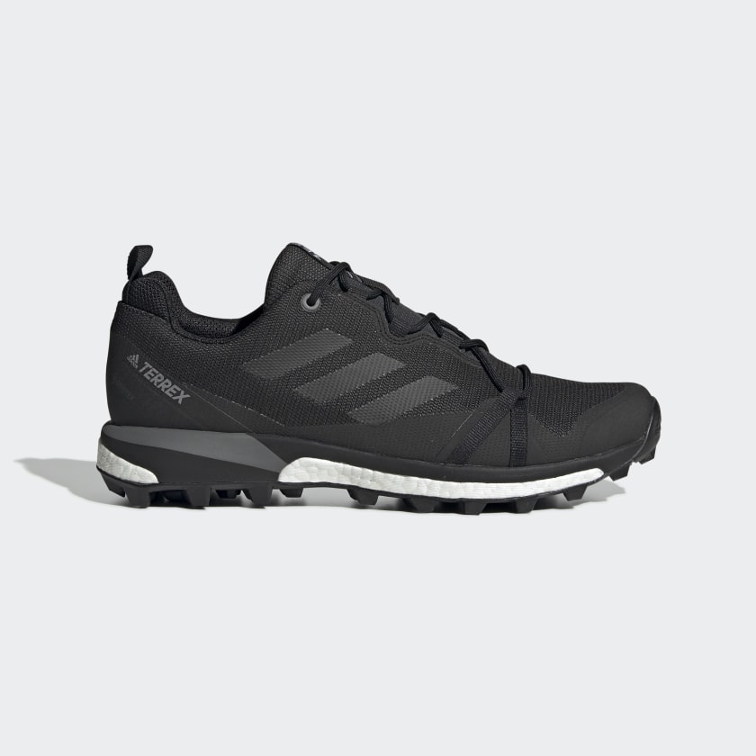 Adidas terrex skychaser boost gtx clearance