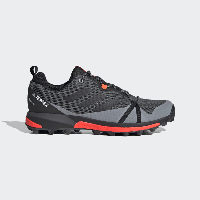 terrex skychaser gtx shoes