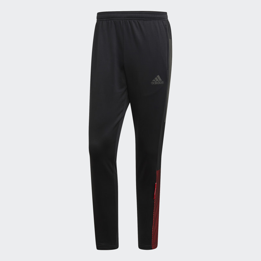 adidas predator pants