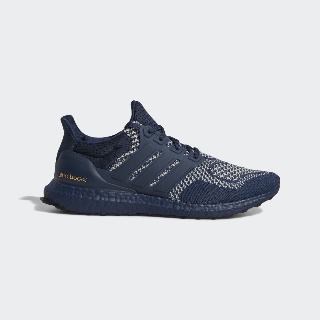 Ultraboost 1.0 DNA Schoenen Ultraboost 1.0 DNA Schoenen