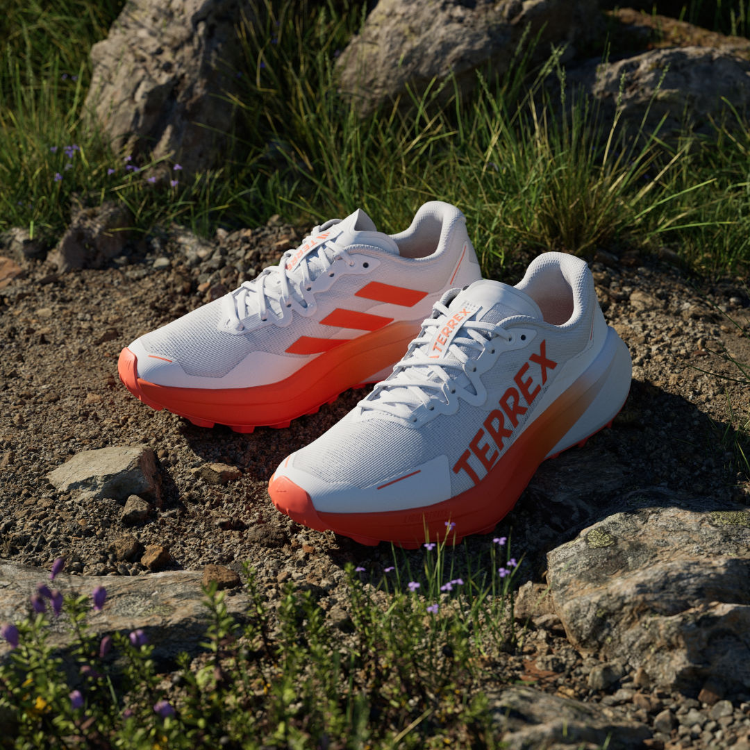 Chaussures adidas TERREX AGRAVIC - vue 4