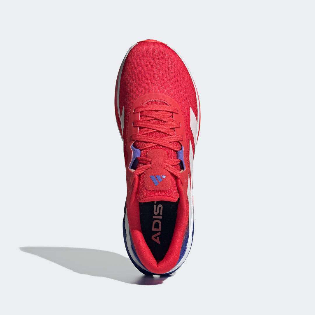 Adidas  sneaker Pure Ruby / Cobalt Blue / Lucid Red