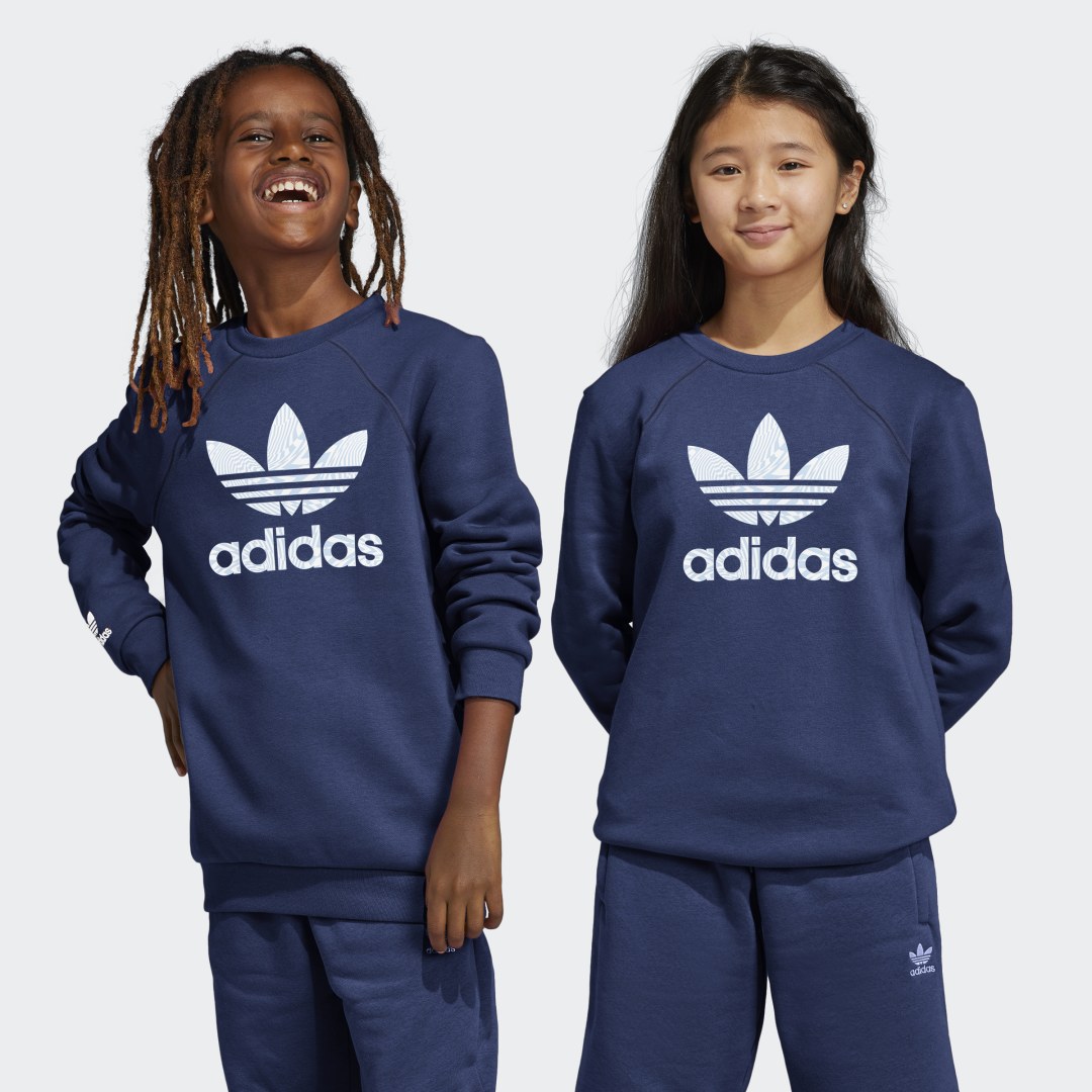 Толстовка H06687 adidas Rekive Crew это H06687 adidas в чистом виде