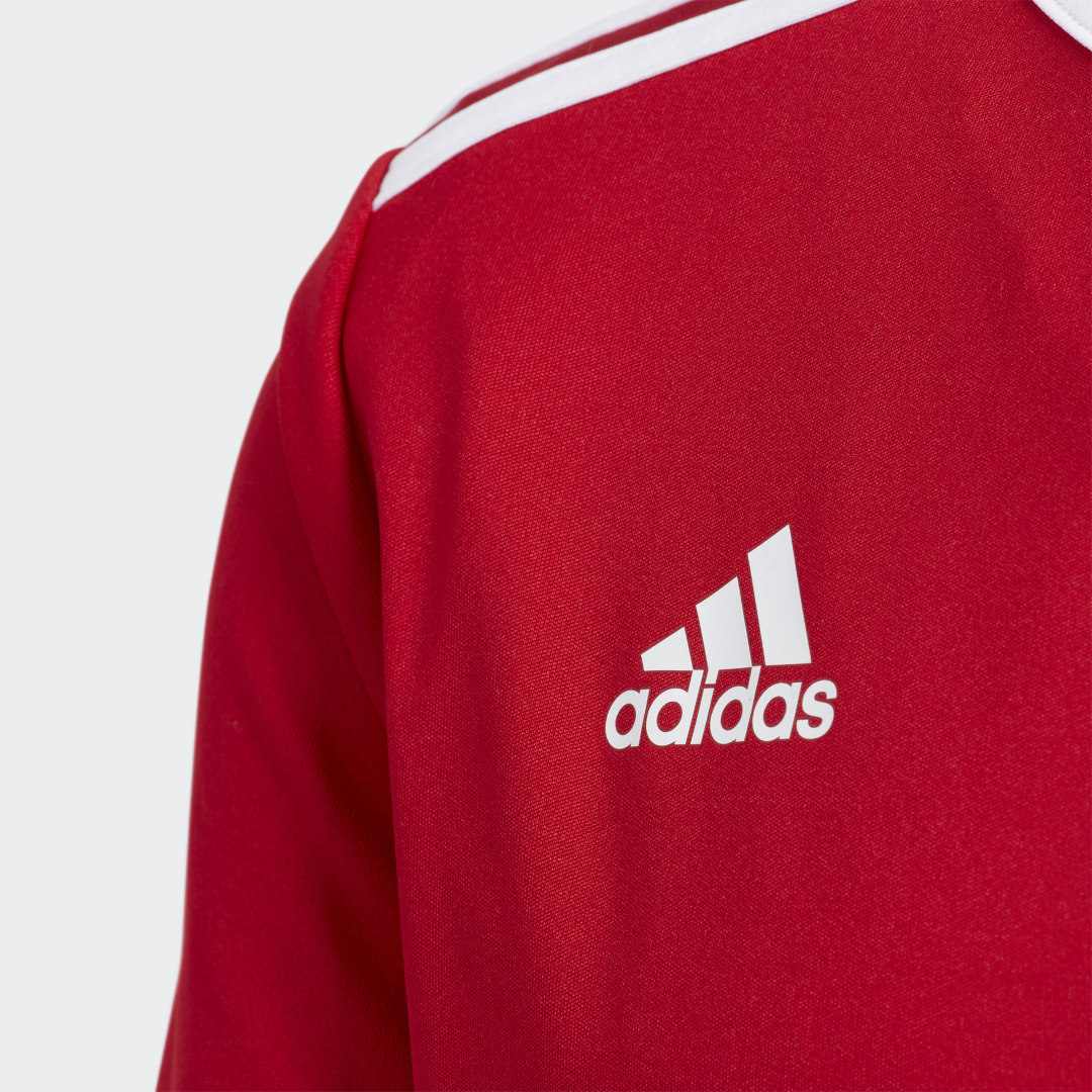 

adidas Camiseta Entrada Niño, Blanco