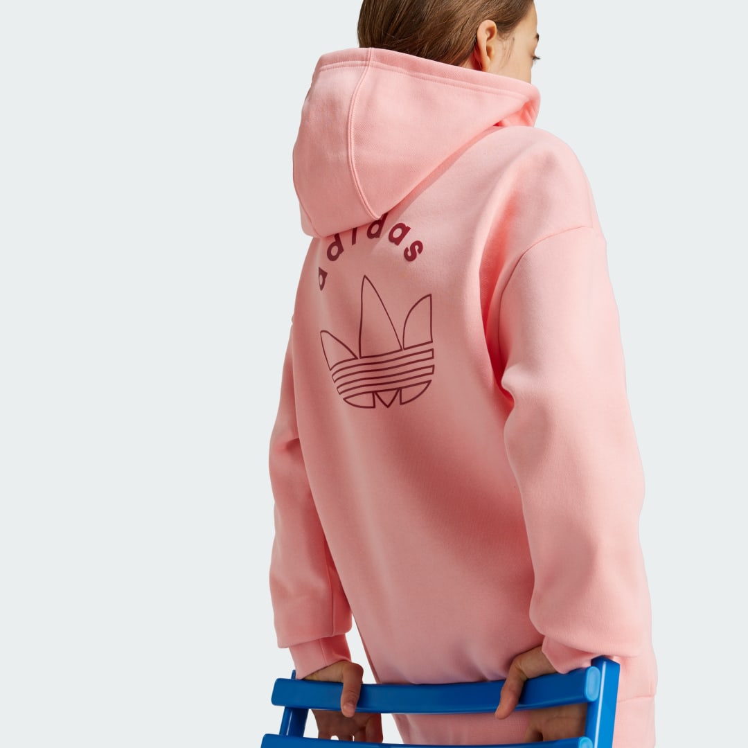 Adidas Graphic Hoodie Kids