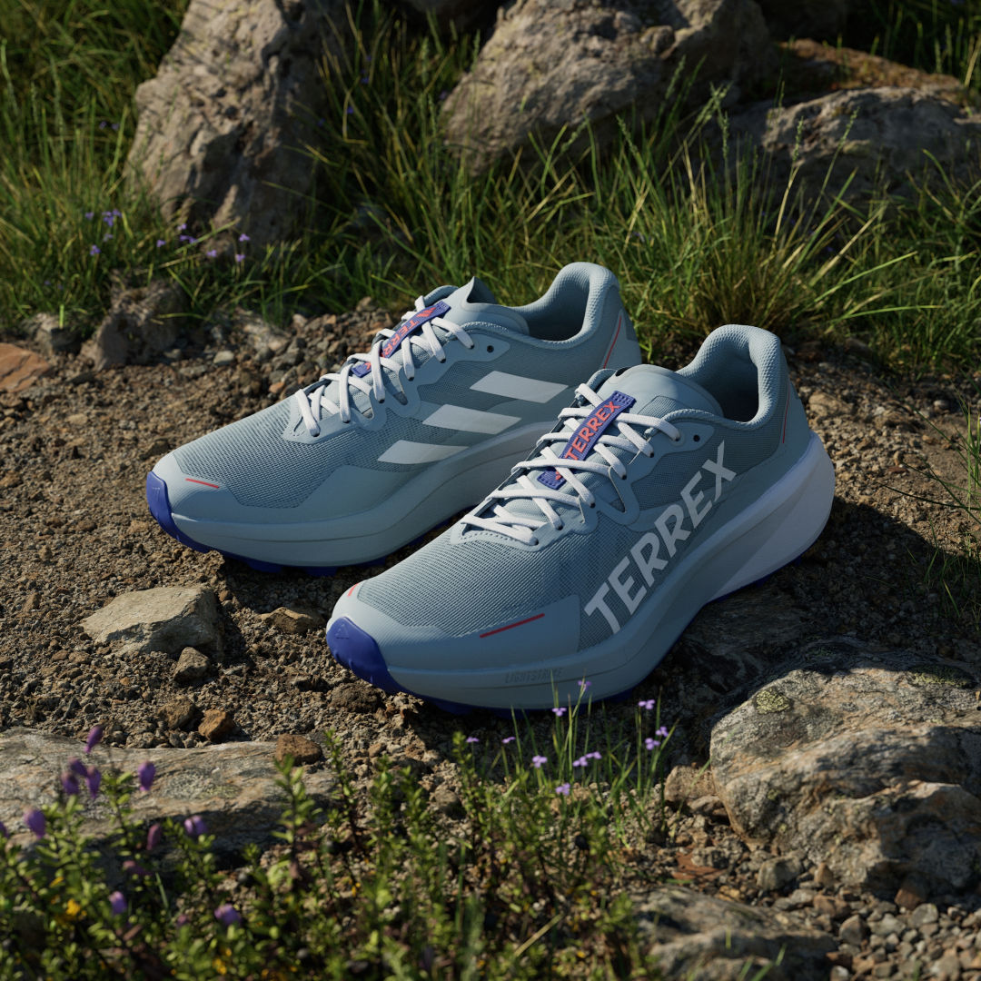 Chaussure de trail running Terrex Agravic 3