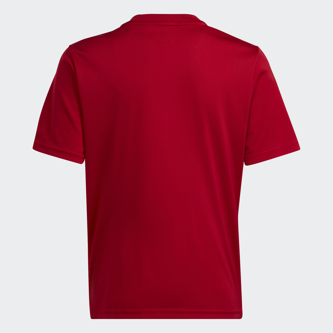 Maillot Team Icon - vue 6