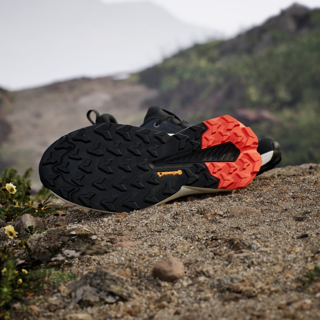 Adidas Terrex sneaker Carbon / Core Black / Olive Strata