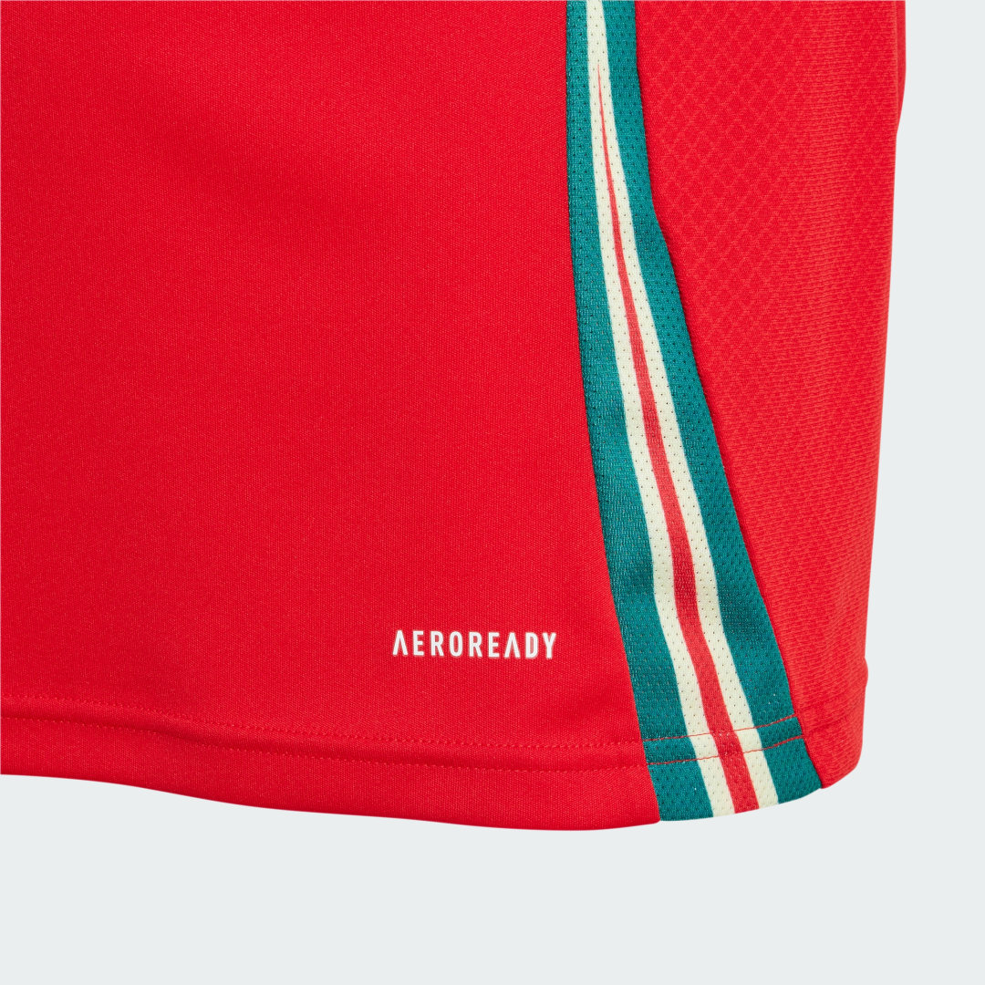 Adidas Performance Wales 24 Home Jersey Kids