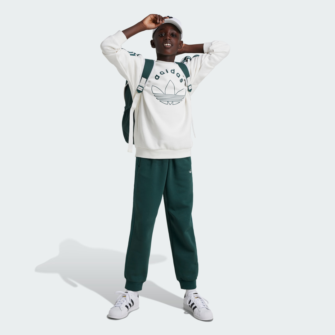 Adidas Graphic Sweatshirt Kids