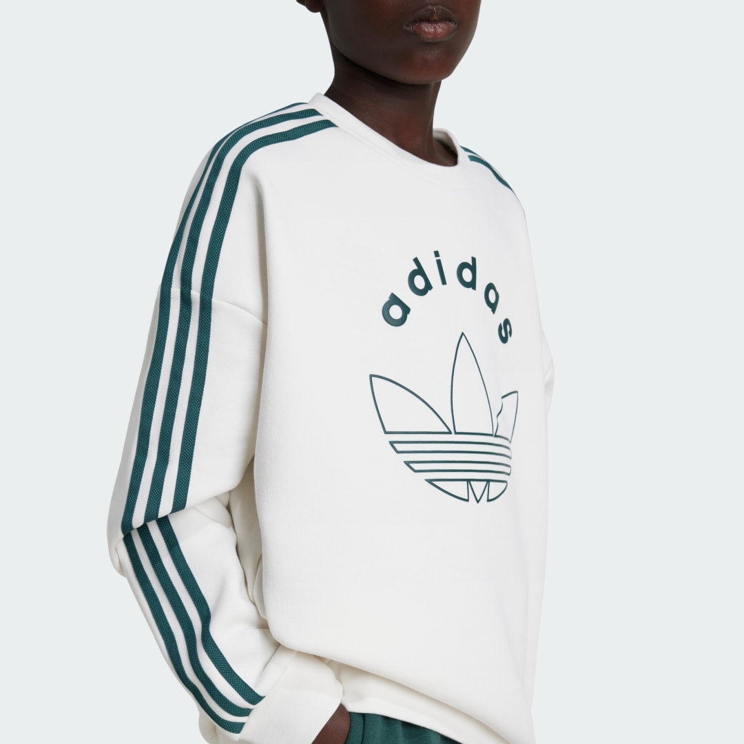 Adidas Graphic Sweatshirt Kids