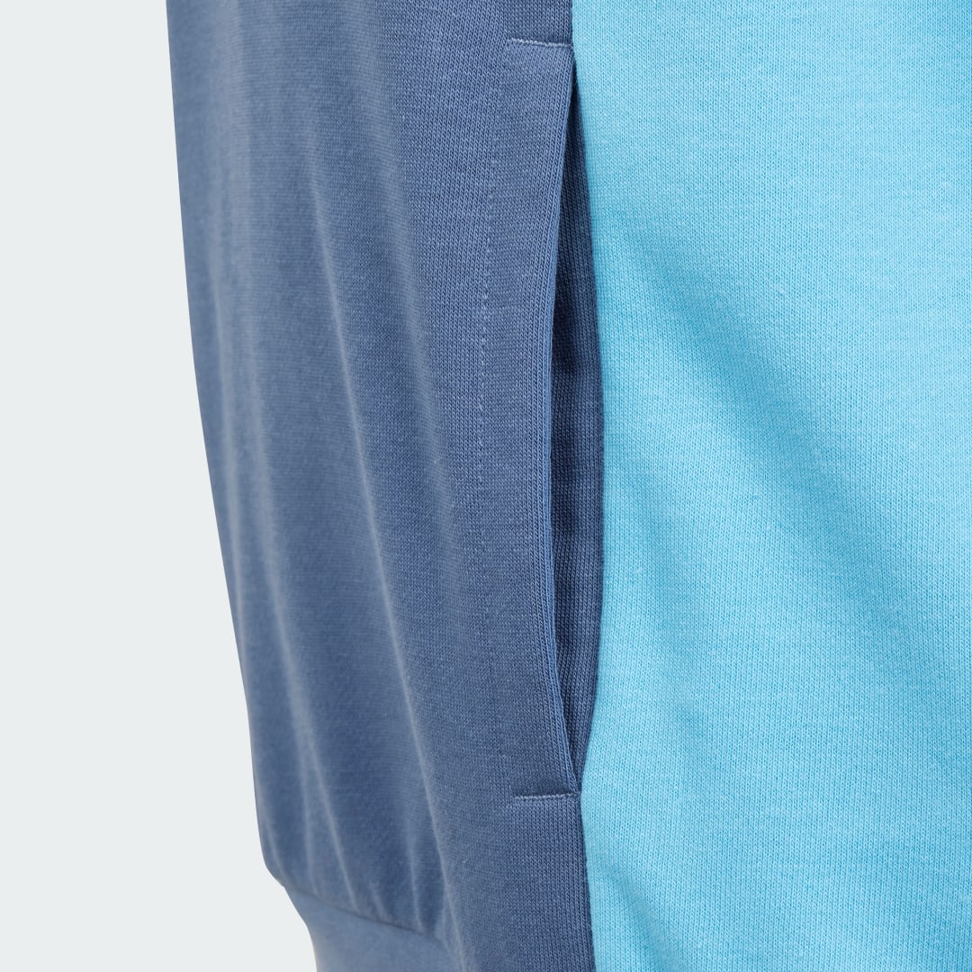Adidas Essentials Colorblock Hoodie Kids