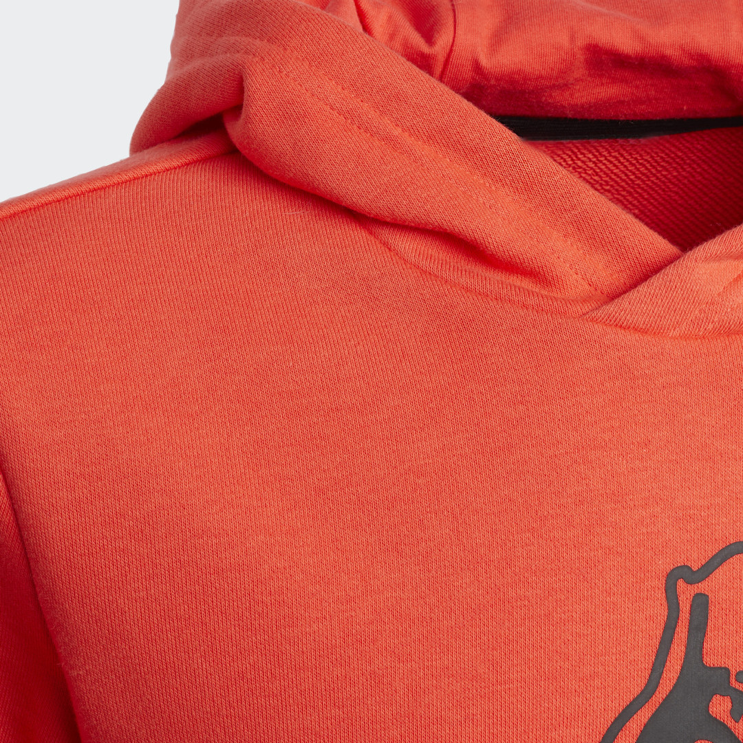 фото Худи adidas adventure