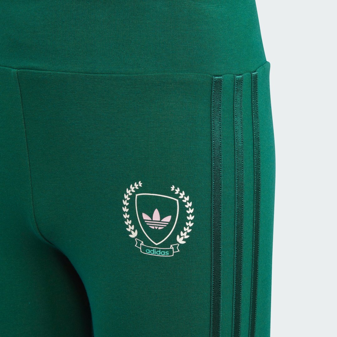 Adidas Collegiate Graphic Pack High Waist Legging