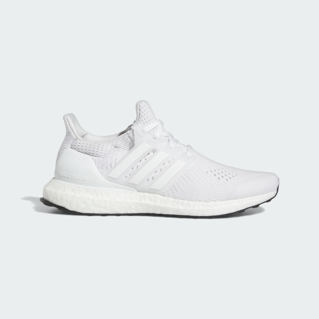Chaussure Ultraboost 1.0
