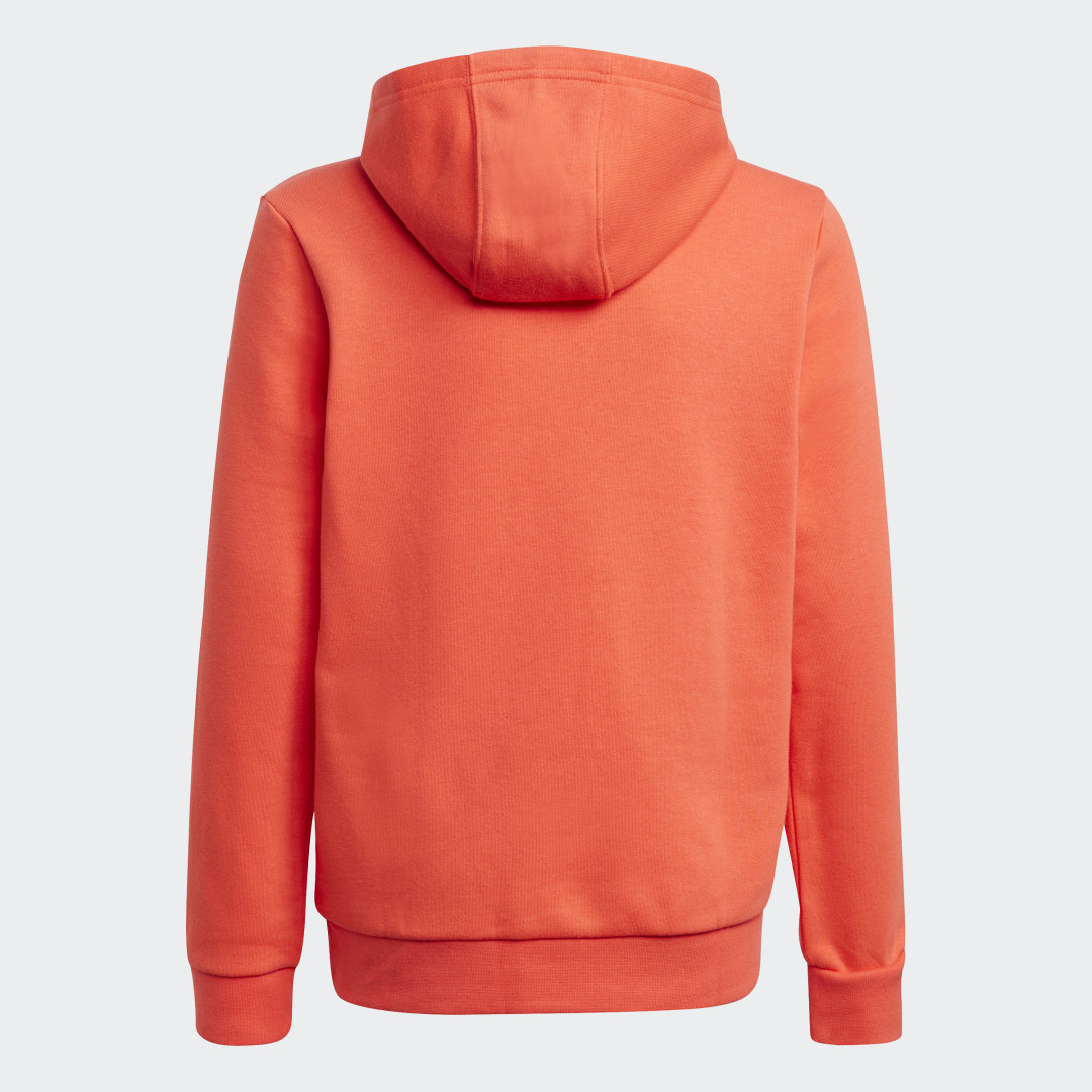 фото Худи adidas adventure