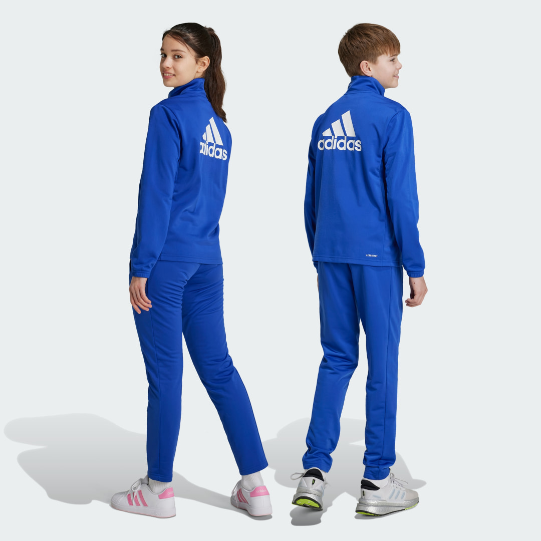 Adidas Essentials Big Logo Trainingspak