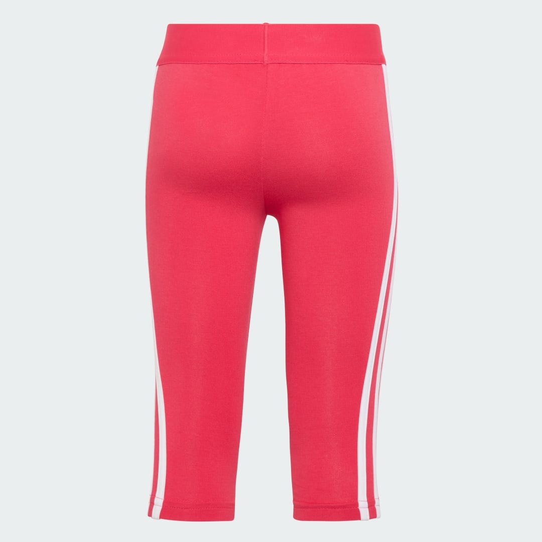 Vêtements adidas sportswear Ig 3S Tight pour Accessoires - vue 6