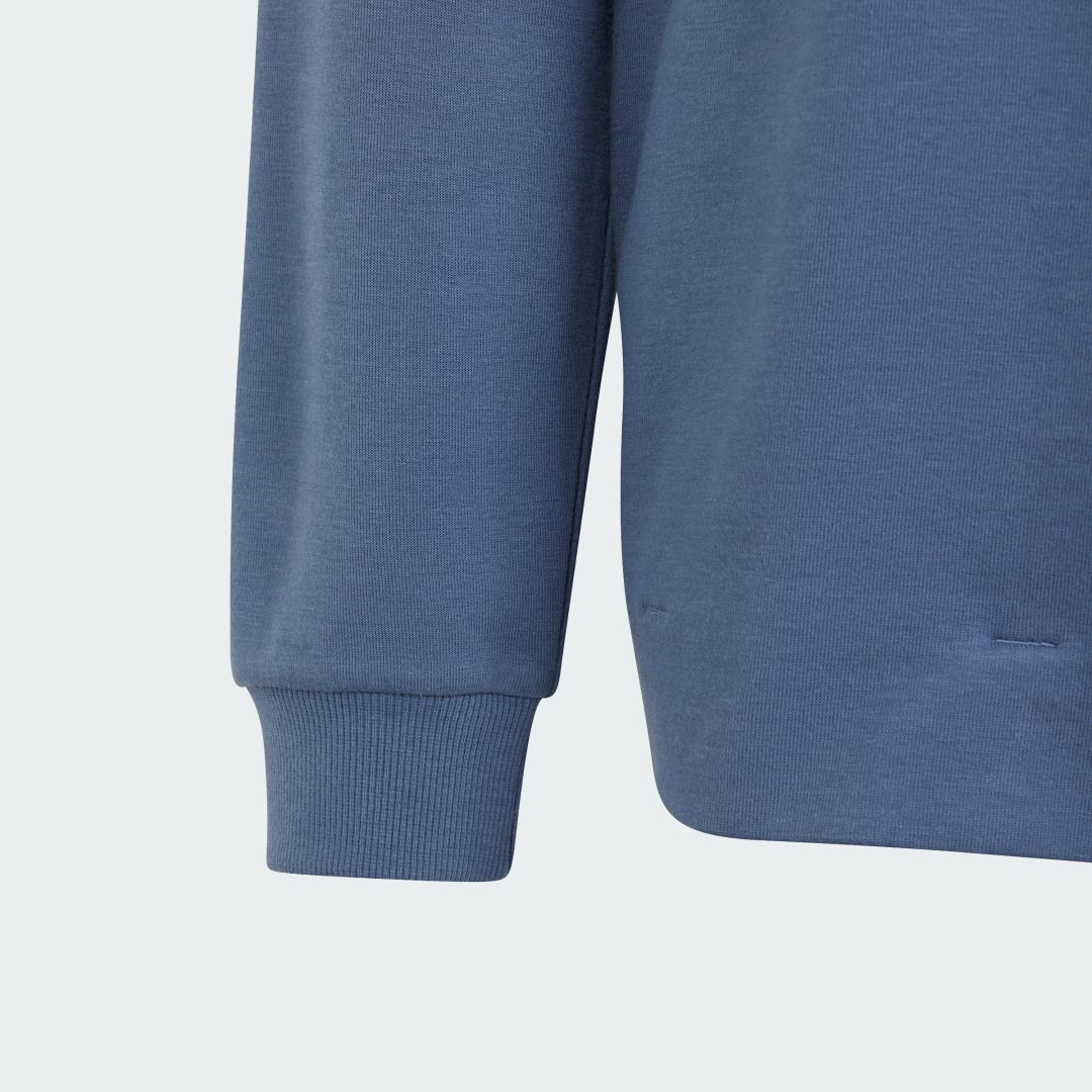 Adidas Sportswear Future Icons Logo Sweatshirt met Capuchon