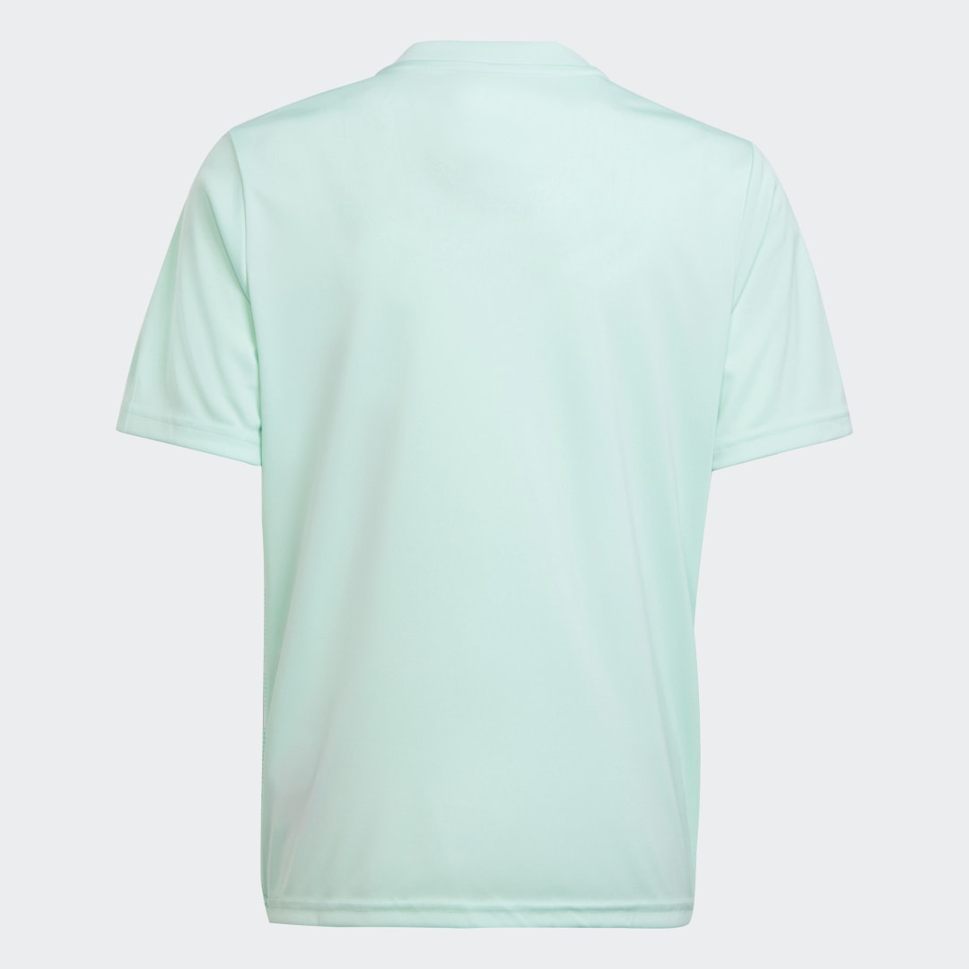 Maillot Team Icon - vue 2