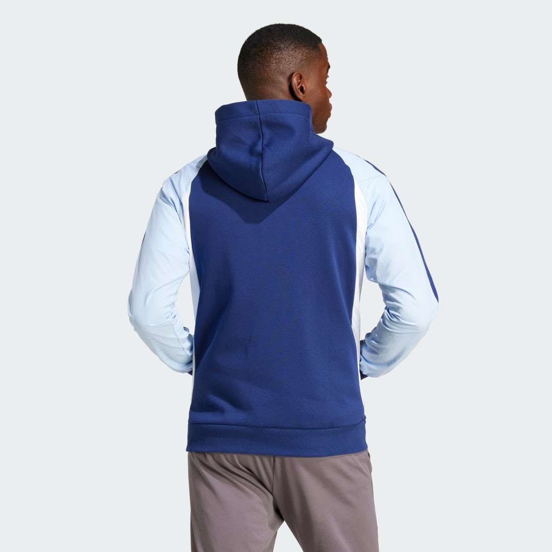 Adidas Seasonal Essentials Colorblock Ritshoodie