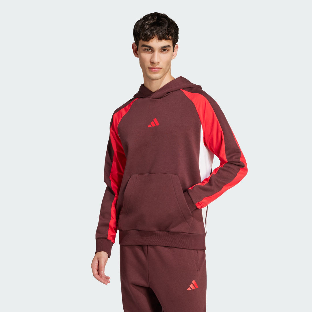 Image of Felpa con cappuccio Seasonal Essentials Colorblock cod002