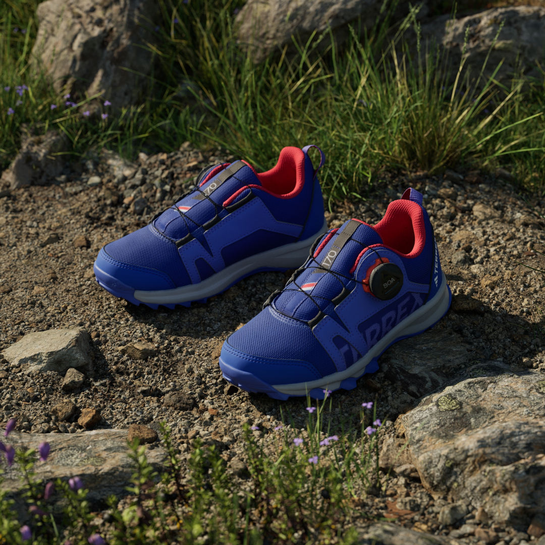 Adidas Terrex sneaker Semi Cobalt Blue / Cloud White / Semi Lucid Blue
