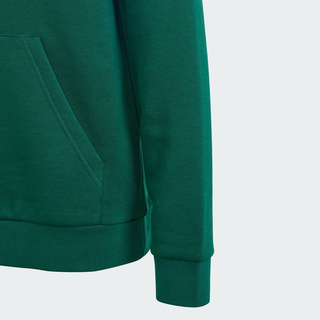 Adidas Trefoil Hoodie