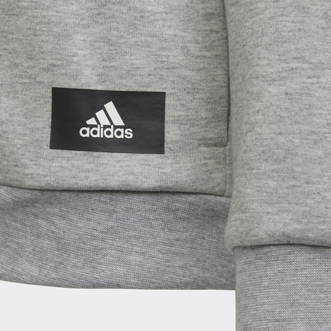 фото Толстовка future icons 3-stripes adidas performance