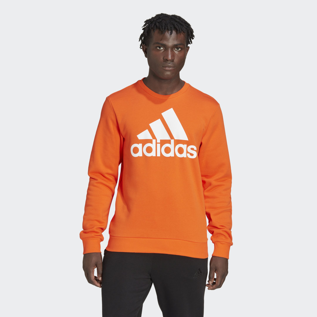 Essentials Big Logo Sweatshirt Essentials Big Logo Sweatshirt