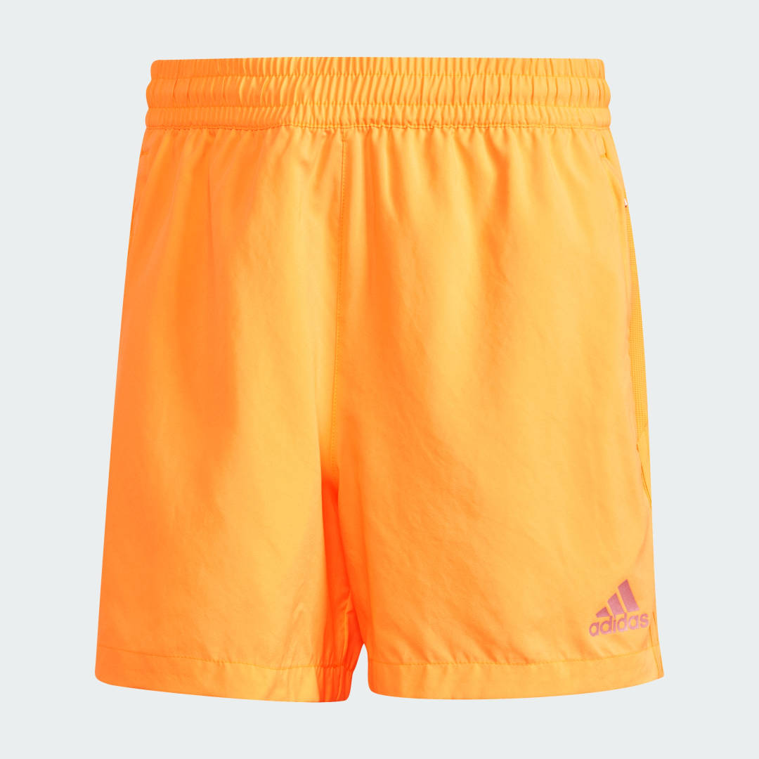 Short de training Climacool - vue 4