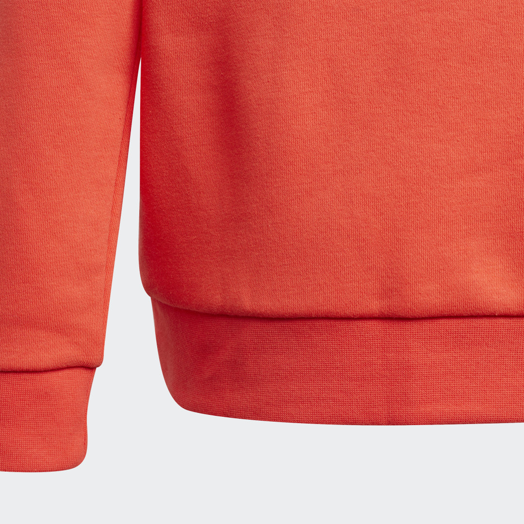 фото Худи adidas adventure