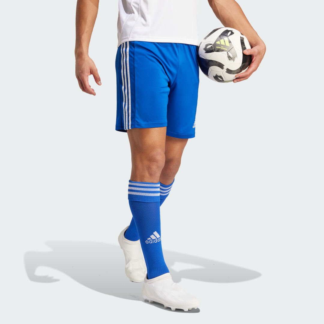фото Шорты squadra 21 adidas performance